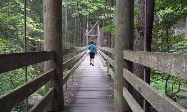 Twelve Family-Friendly Hiking Trails in the Hudson Valley