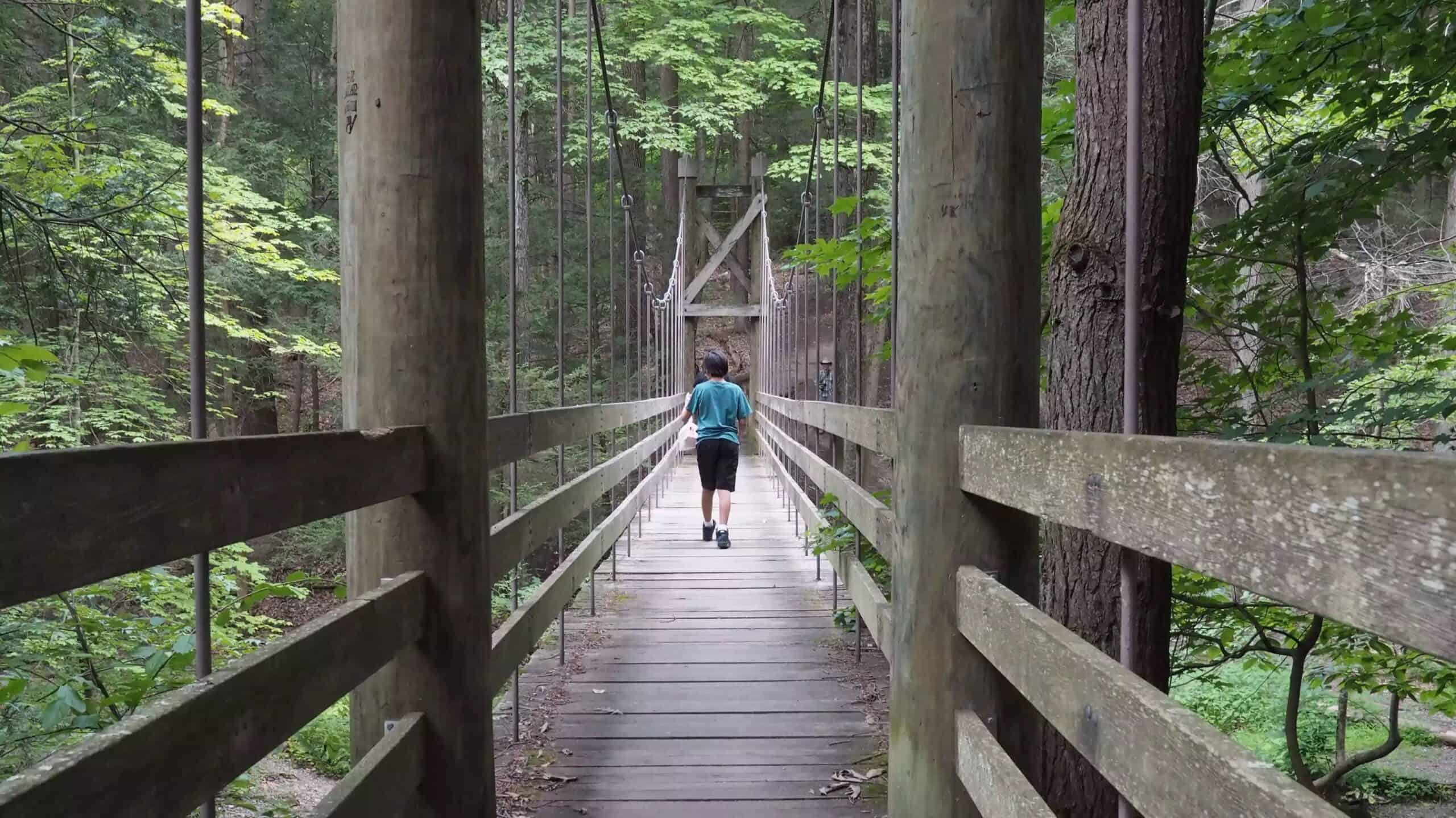 Black Creek Preserve in Esopus