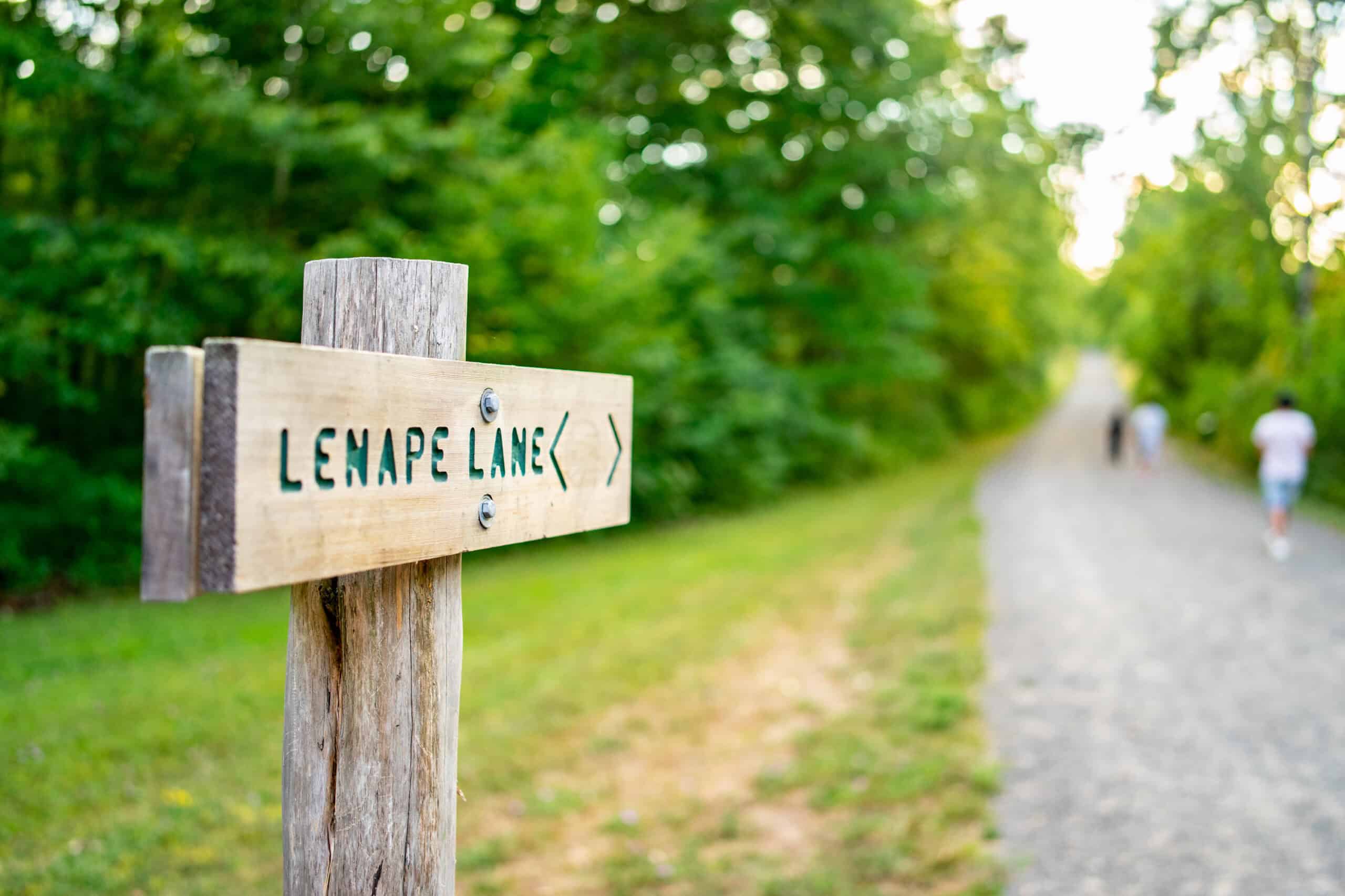 Lenape Lane trail at Mohonk Preserve - Severance filming locations