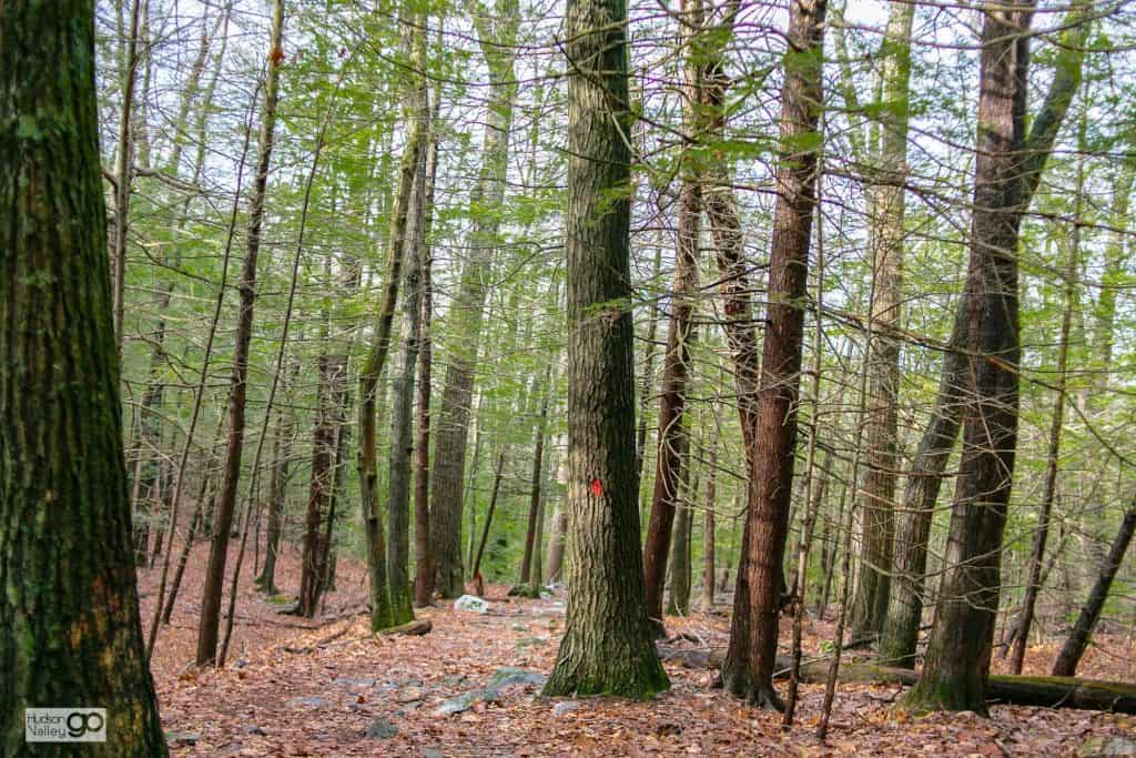 Mohonk Preserve