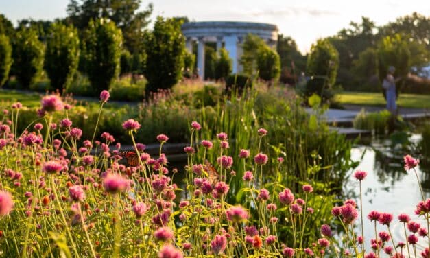Twelve Stunning Hudson Valley Gardens You Need to Visit