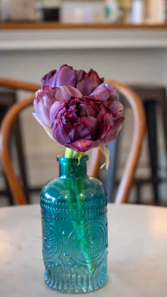 purple flower in a turquoise glass vase