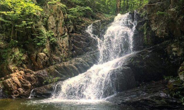 Heading to the Trails? First, Leave No Trace