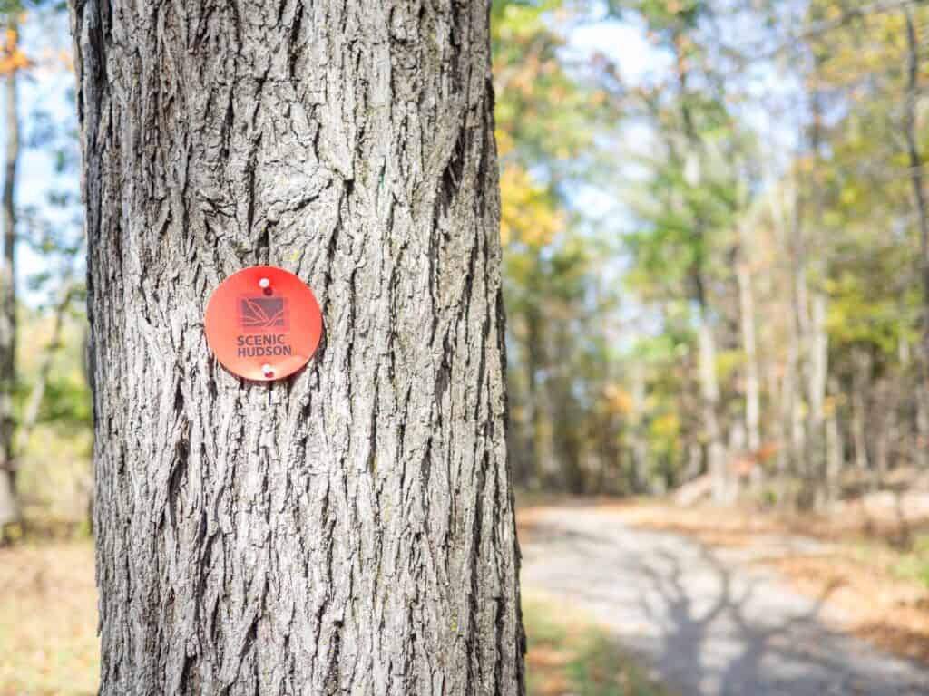 Falling Waters Preserve in Saugerties